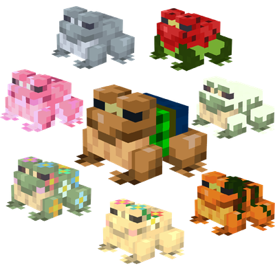 Maple's Frog Collection