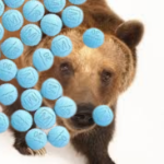 BearOnFentanyl member profile picture
