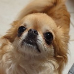 Narrnouille member profile picture