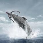 PaleoYeti member profile picture