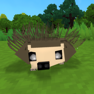 Hedgehogs project artwork