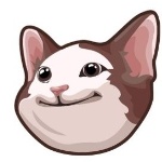OATMEAL_pop member profile picture