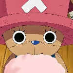 Brisbane member profile picture