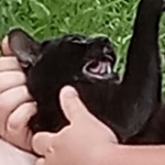 Devine_Capt member profile picture