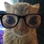 Prepies member profile picture