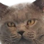 DonnehDonJohn member profile picture