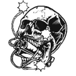 Skullbomb434 member profile picture