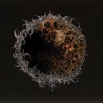 Tarnished_The_Age_Of_The_Fell_Curse member profile picture