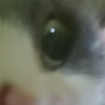 Les_sock member profile picture