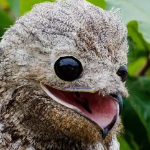 UberGo0ober member profile picture