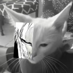 StarRage_RZ member profile picture