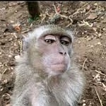 View soaire's Profile