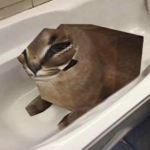 Meraxe67 member profile picture