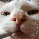 unxnown00_ member profile picture