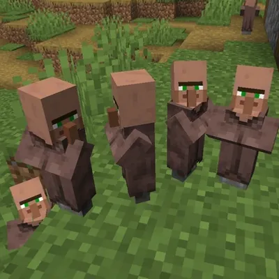 Villager Optimizer