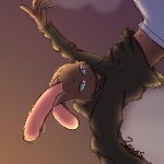 DrBeans007 member profile picture