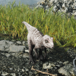 dinofan13 member profile picture