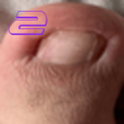 The Fat Toe 2 logo