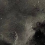 Misty_The_Goblin member profile picture