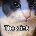 TheGiantRat member profile picture