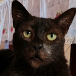 Miguelito1998_YT member profile picture