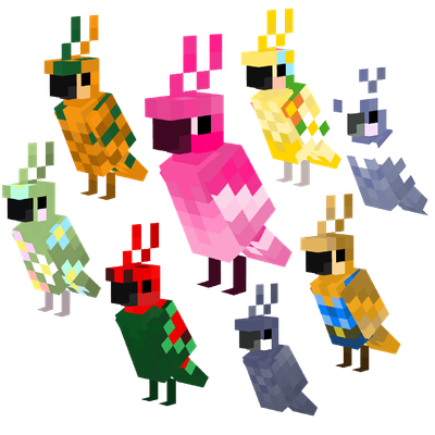 Maple's Parrot Collection