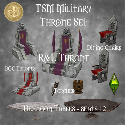 TSM Military Court Set logo