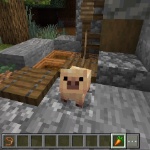 ToekiPumkin member profile picture