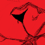 integrity101 member profile picture