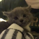 cAtcr4sh member profile picture