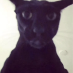 IamTheVOID member profile picture