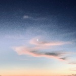 RandomCreativeBrainz member profile picture