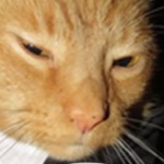 Hasped member profile picture