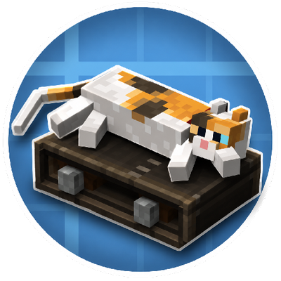Create: Cats Don't Care (CCDC) logo