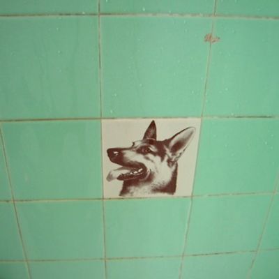 Admin Vanish logo
