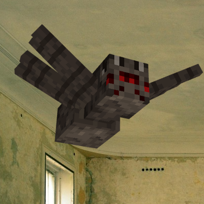 Spiders On Ceiling