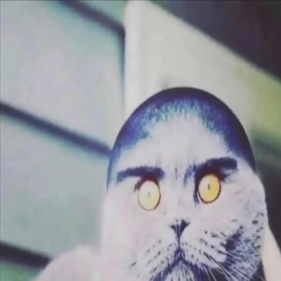 Tuff Cat Totem
