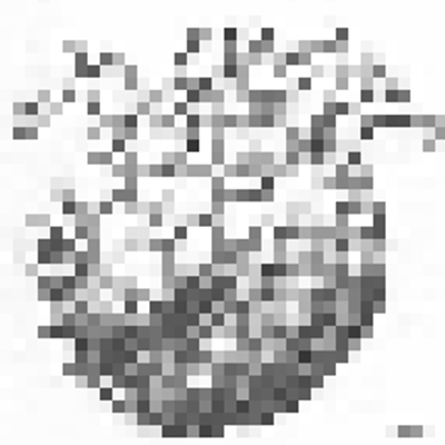 DenDy logo