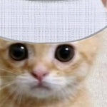 Vanixen member profile picture