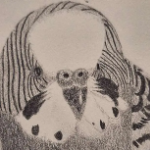 Zarpzic member profile picture
