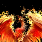 pheonixclaws member profile picture