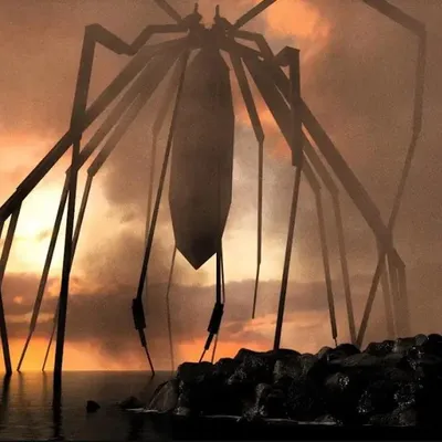 Hope you like spiders