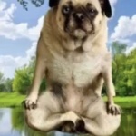 user_bjy member profile picture