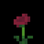 DxBZH member profile picture