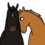 arineverhere member profile picture
