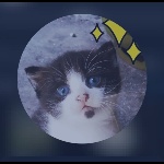 Fumiiraku member profile picture