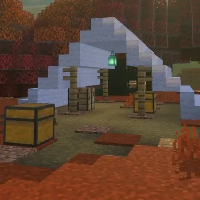 Campers & Dappled Woods (New game drop)