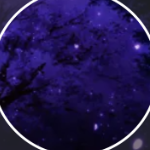 THE__ABYSS member profile picture