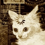 Akefu_Satoru member profile picture