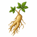 Wild_Ginseng